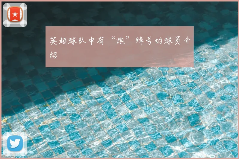 英超球队中有“炮”绰号的球员介绍