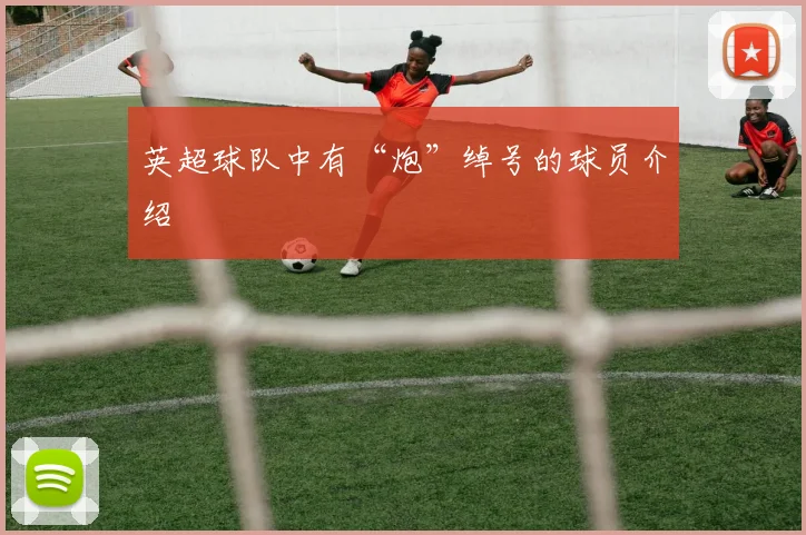 英超球队中有“炮”绰号的球员介绍