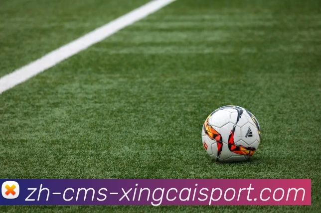 杏彩体育服务体系